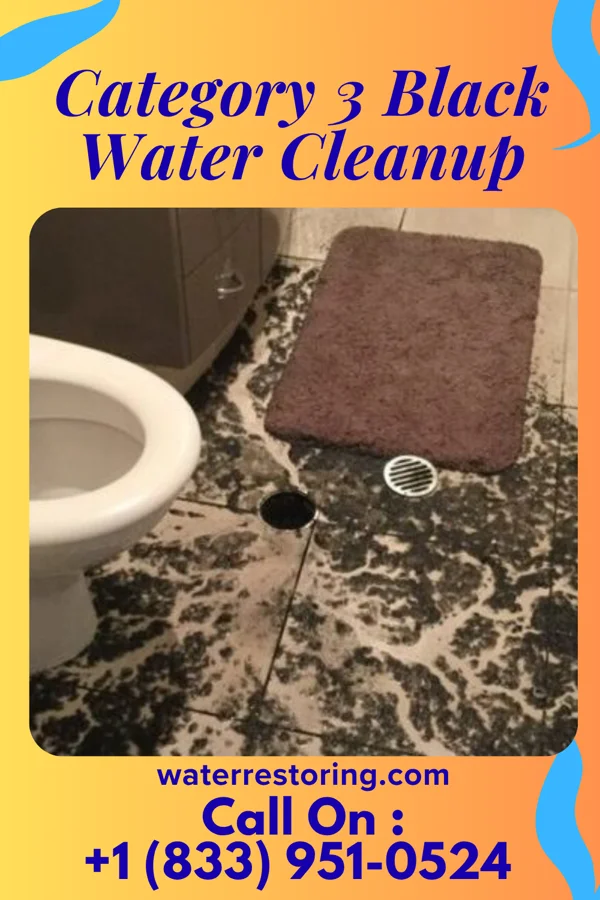 Category 3 Black Water Cleanup in Plymouth, NE