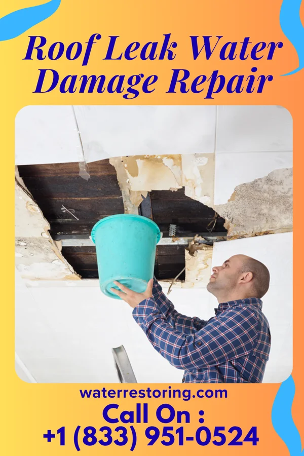 Roof Leak Water Damage Repair in Plymouth, NE